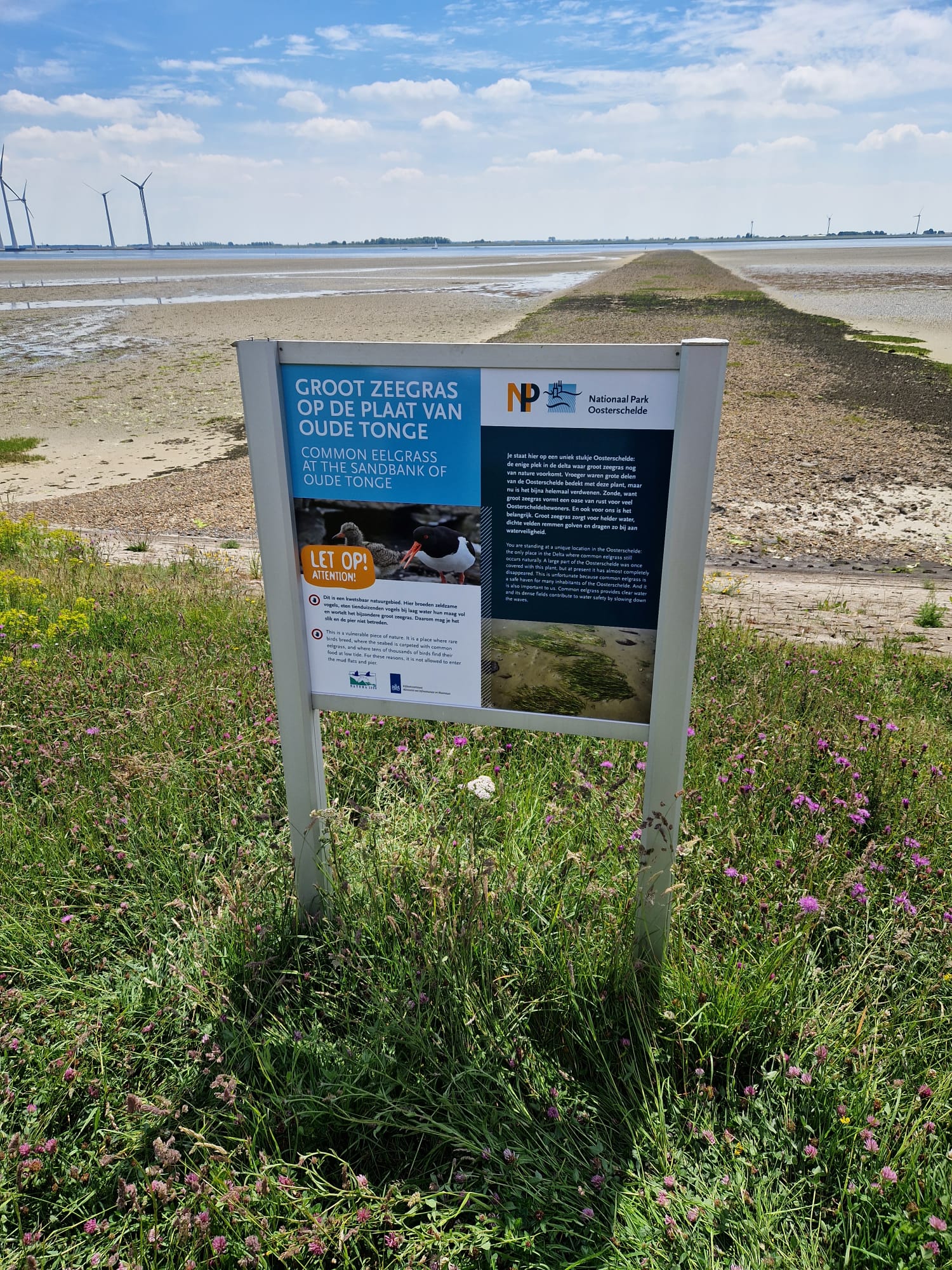 Informatie bordje over de natuur in de Oosterschelde - bewegwijzering
